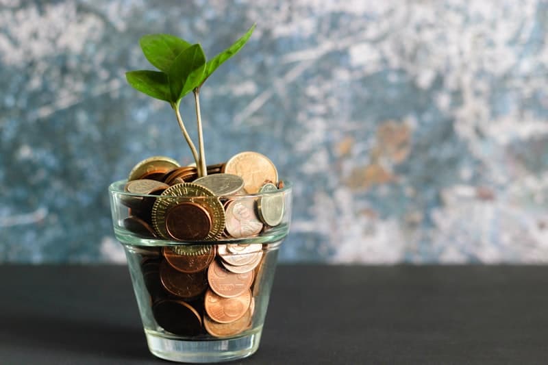Corporate Finance (Finance d'entreprise)